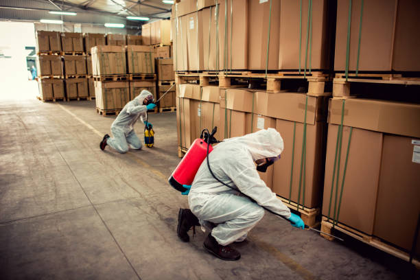 Best Wildlife Control Services  in Dover Plains, NY