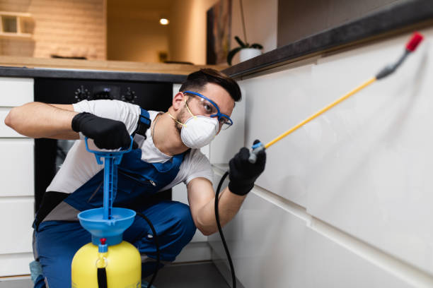 Reliable Dover Plains, NY Pest Control Solutions