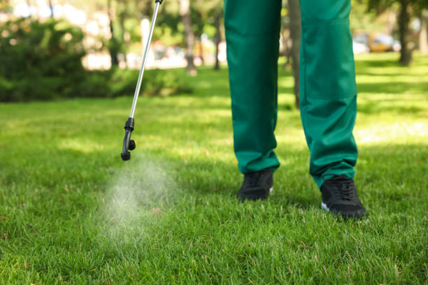 Best Termite Control Services  in Dover Plains, NY