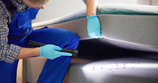 Best Exterminator Services  in Dover Plains, NY