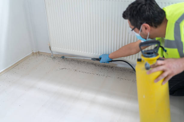 Best Affordable Pest Control Services  in Dover Plains, NY